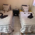 Riad Le Pelican