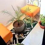 Cozy Appartement