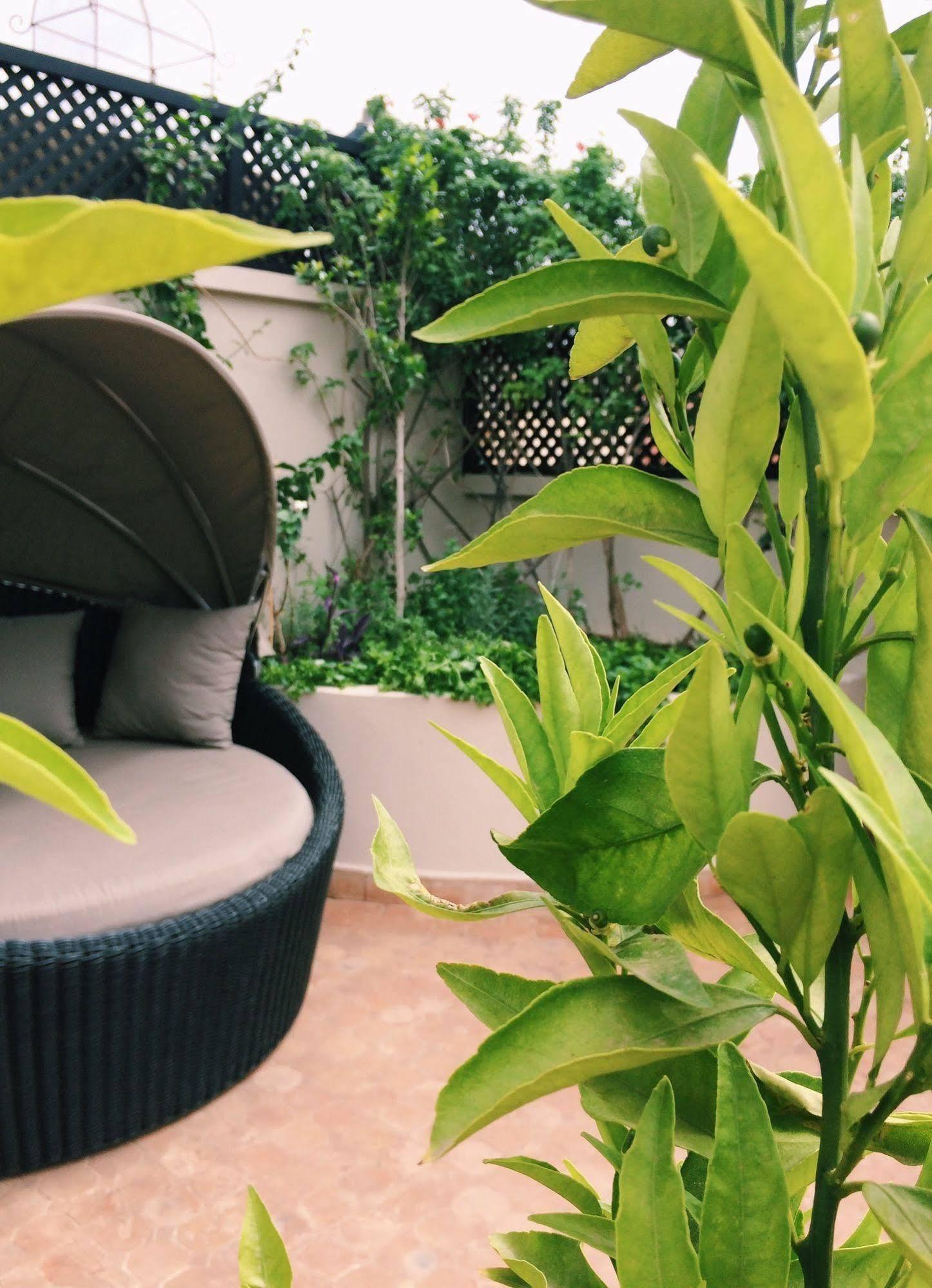 O 5* Marrakesh