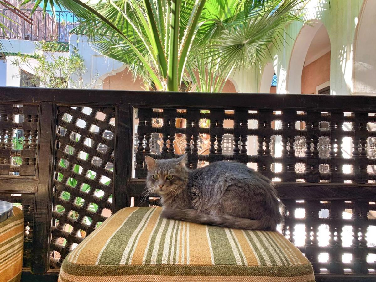 Rockech Riad Marrakesh