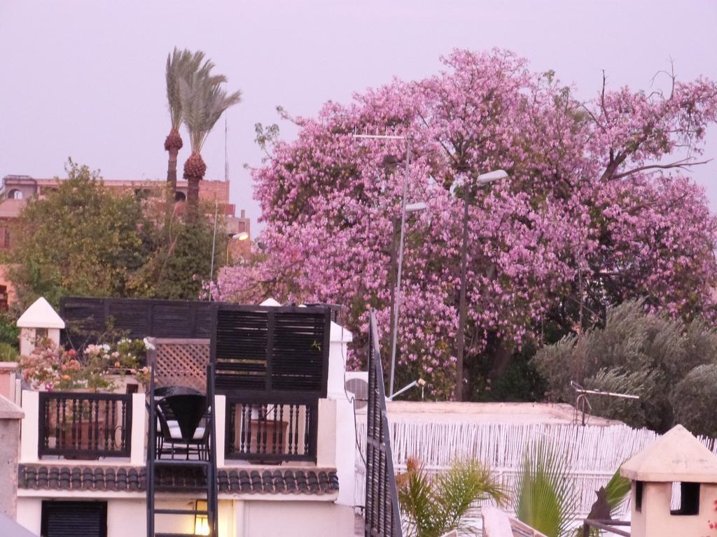 Manissa