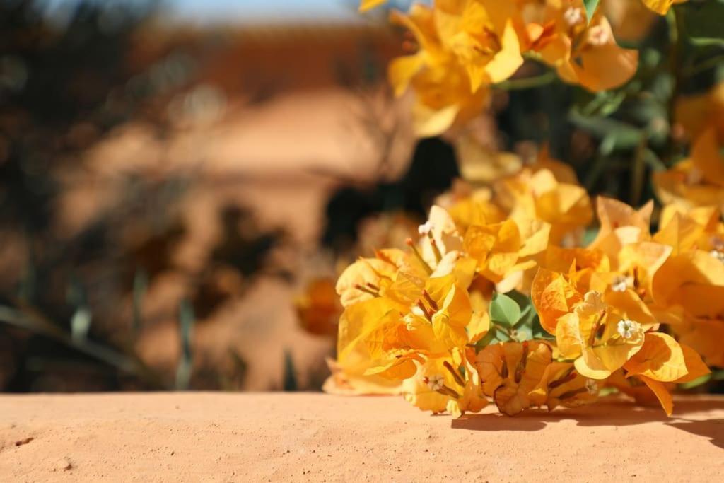 Casa vacanze Dar Zitouna - Entire House In Exclusivity Marrakesh