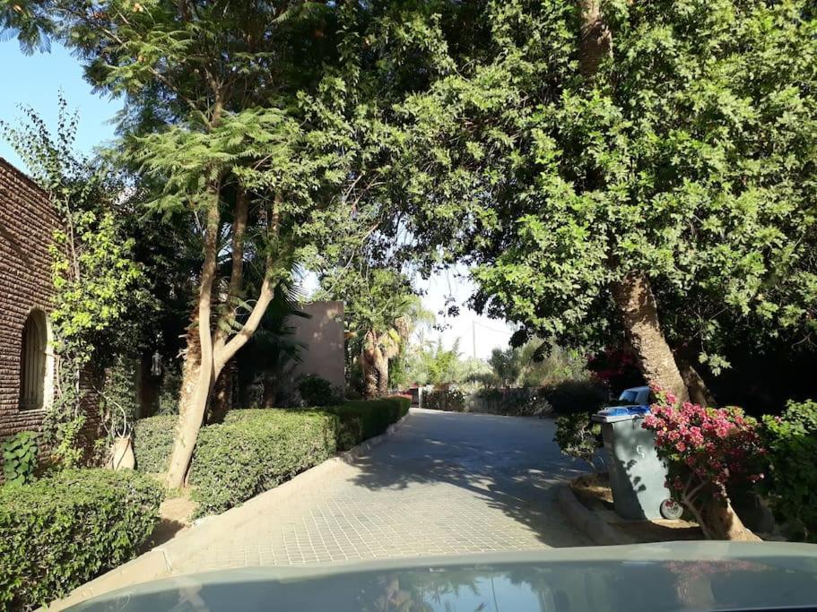 Villa Lila Fantastic House For Up To 8 People In Palmeraie