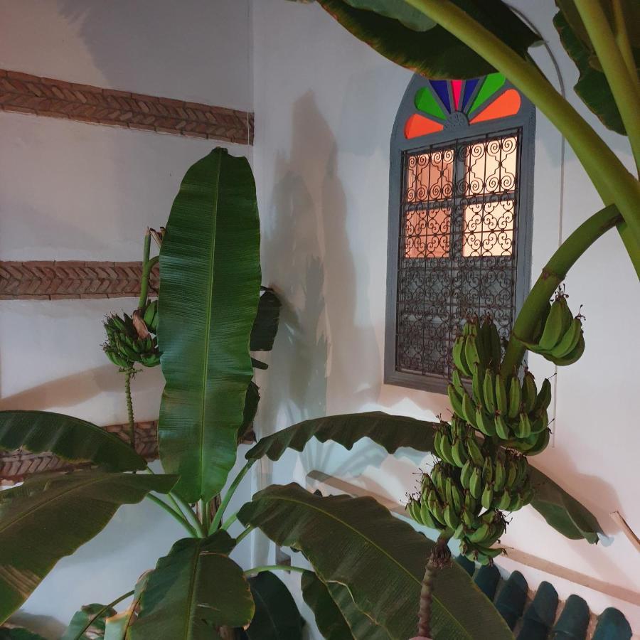 En Exclusivite Medina By Do