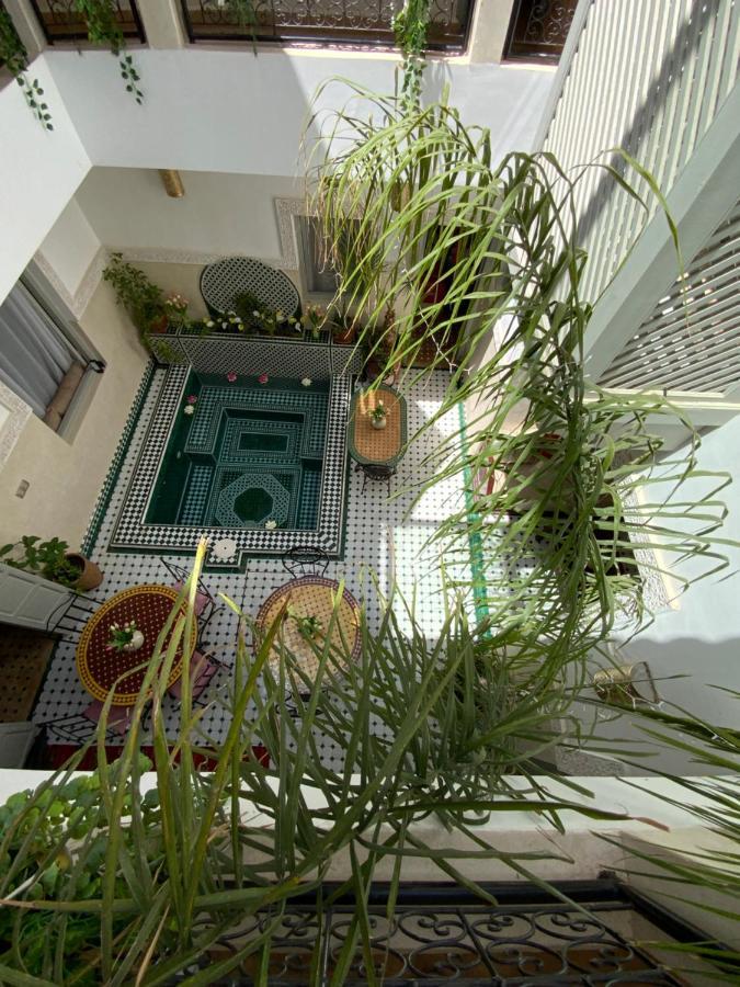 Magnolia Marrakesh