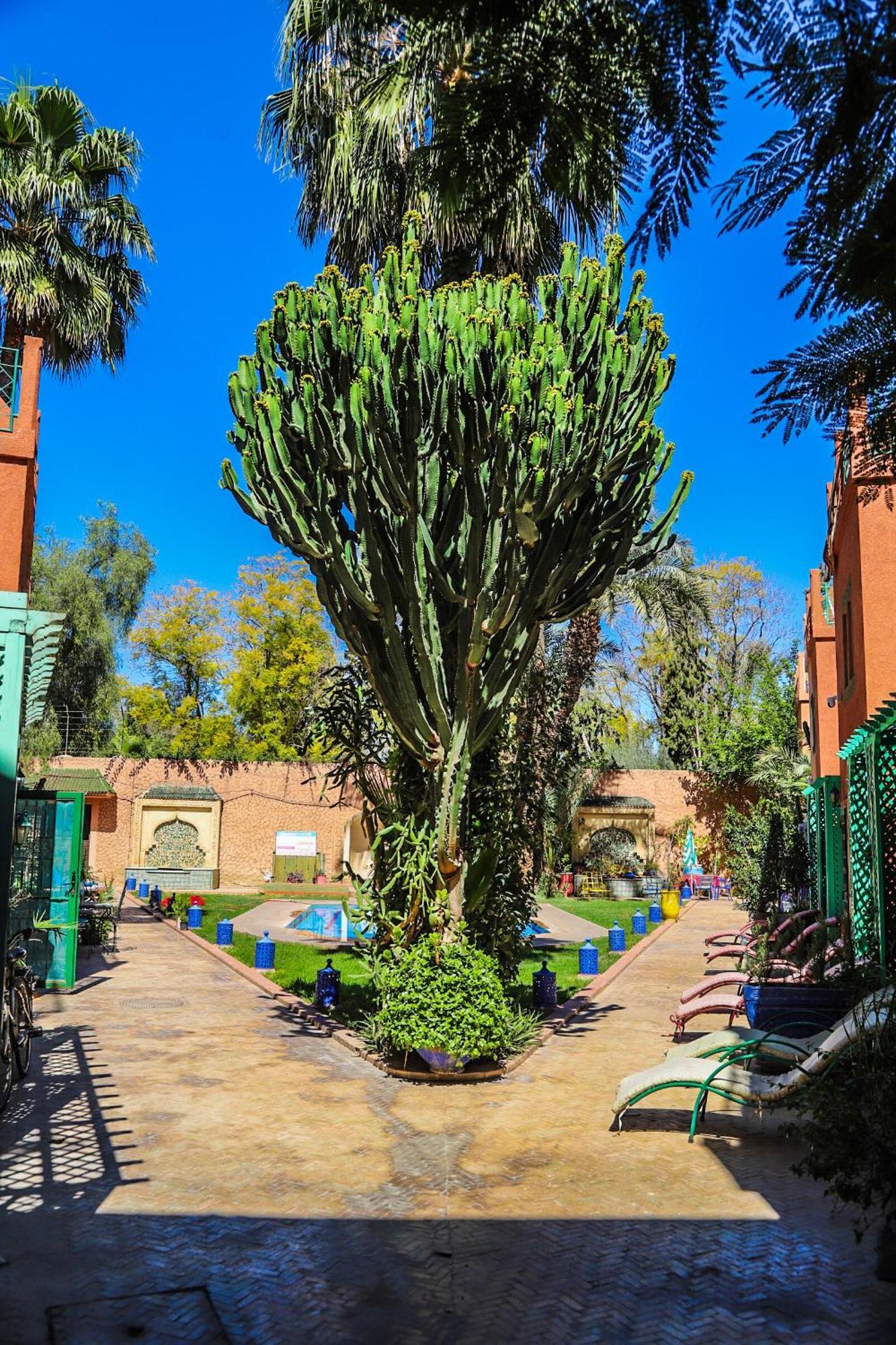16 Holiday home Marrakesh