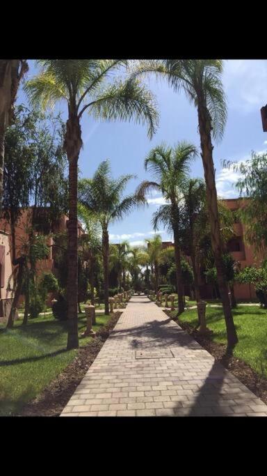 Marrakech Avec Piscine Appartement
