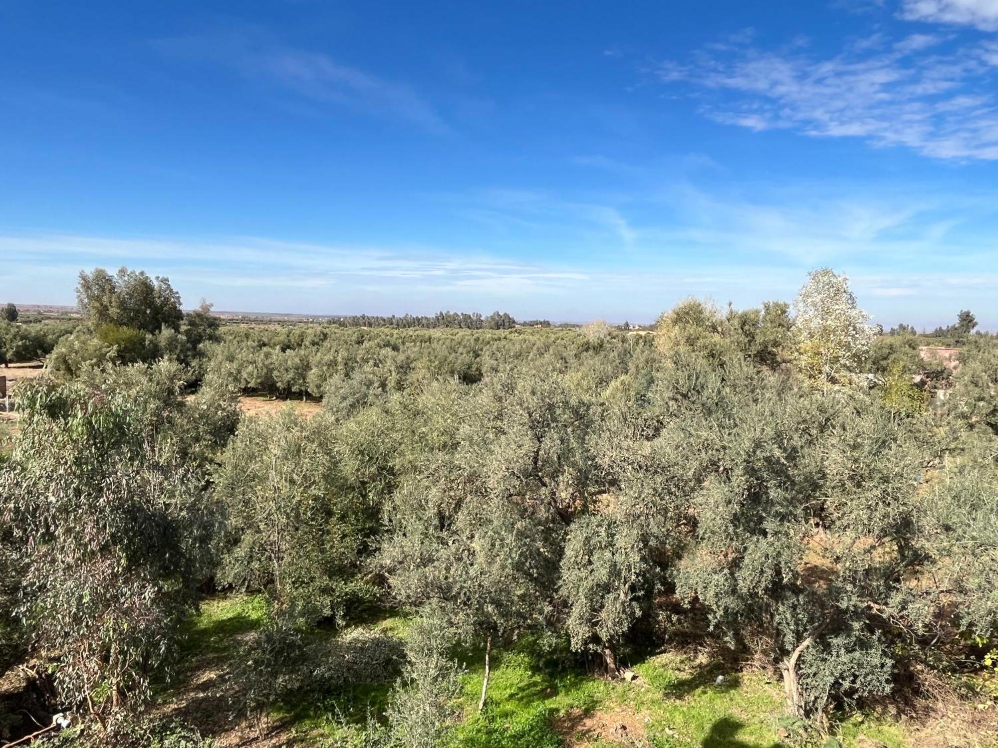 Villa Dar Jbel *