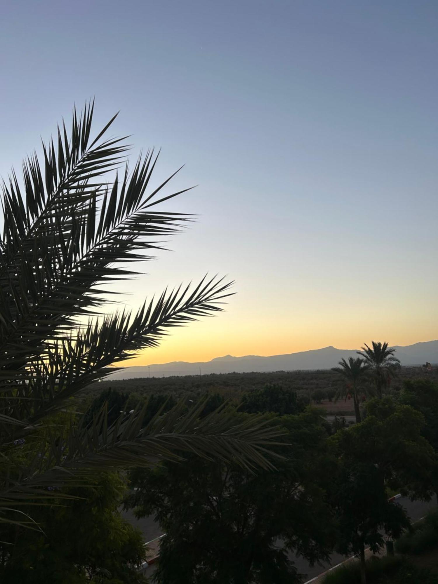 Palm View Apartment *