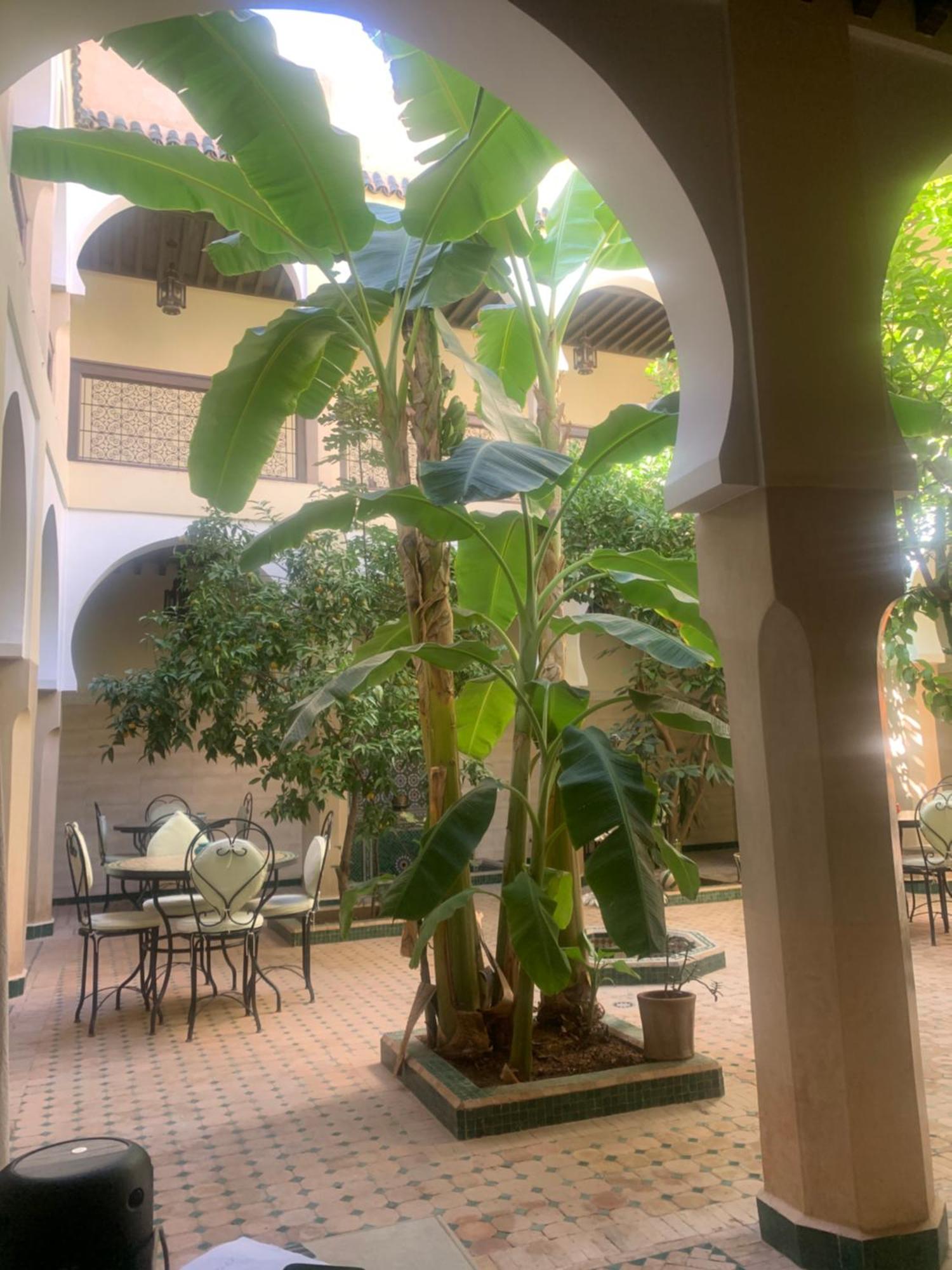 Riad Tidar By Expert Gestion