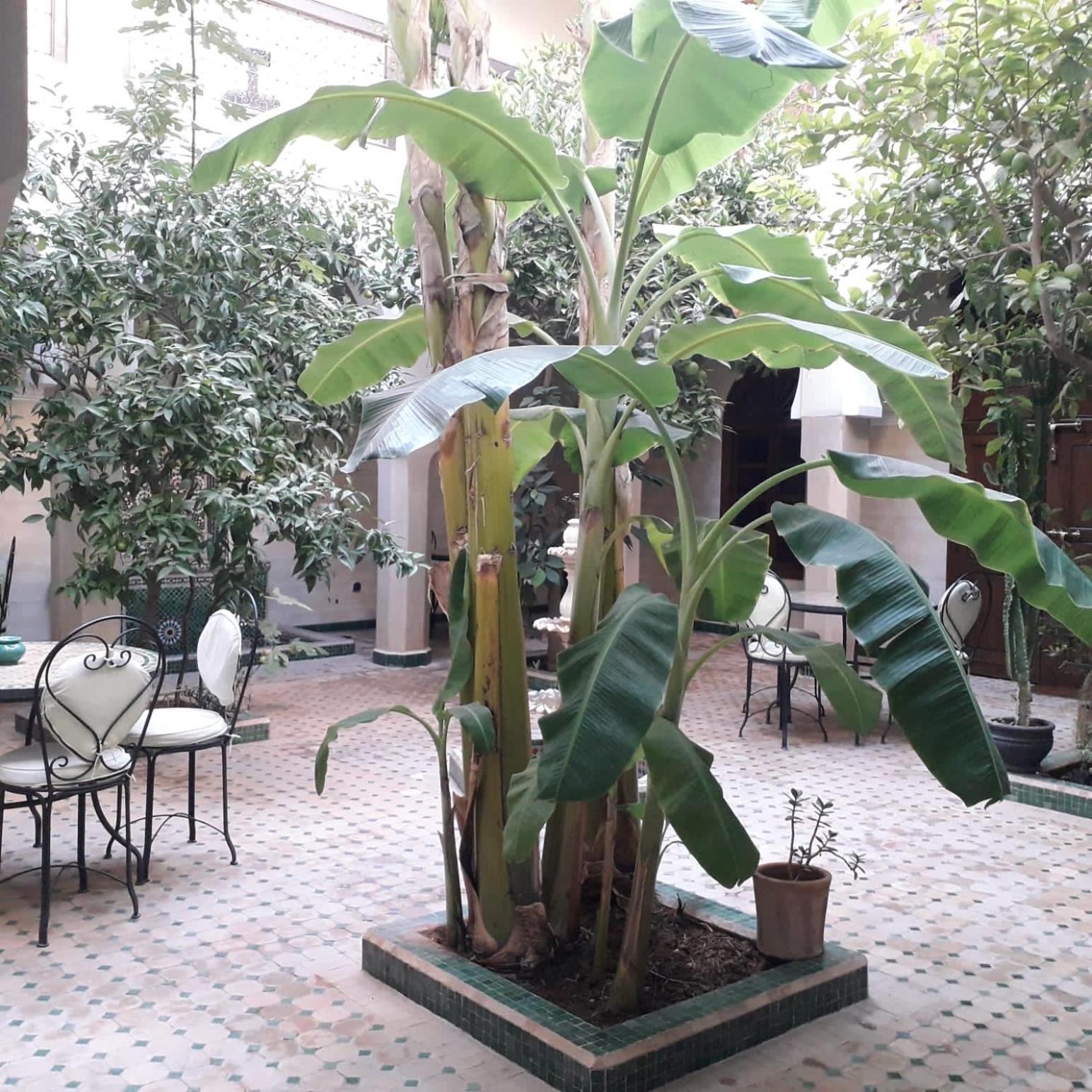 Tidar By Expert Gestion Marrakesh