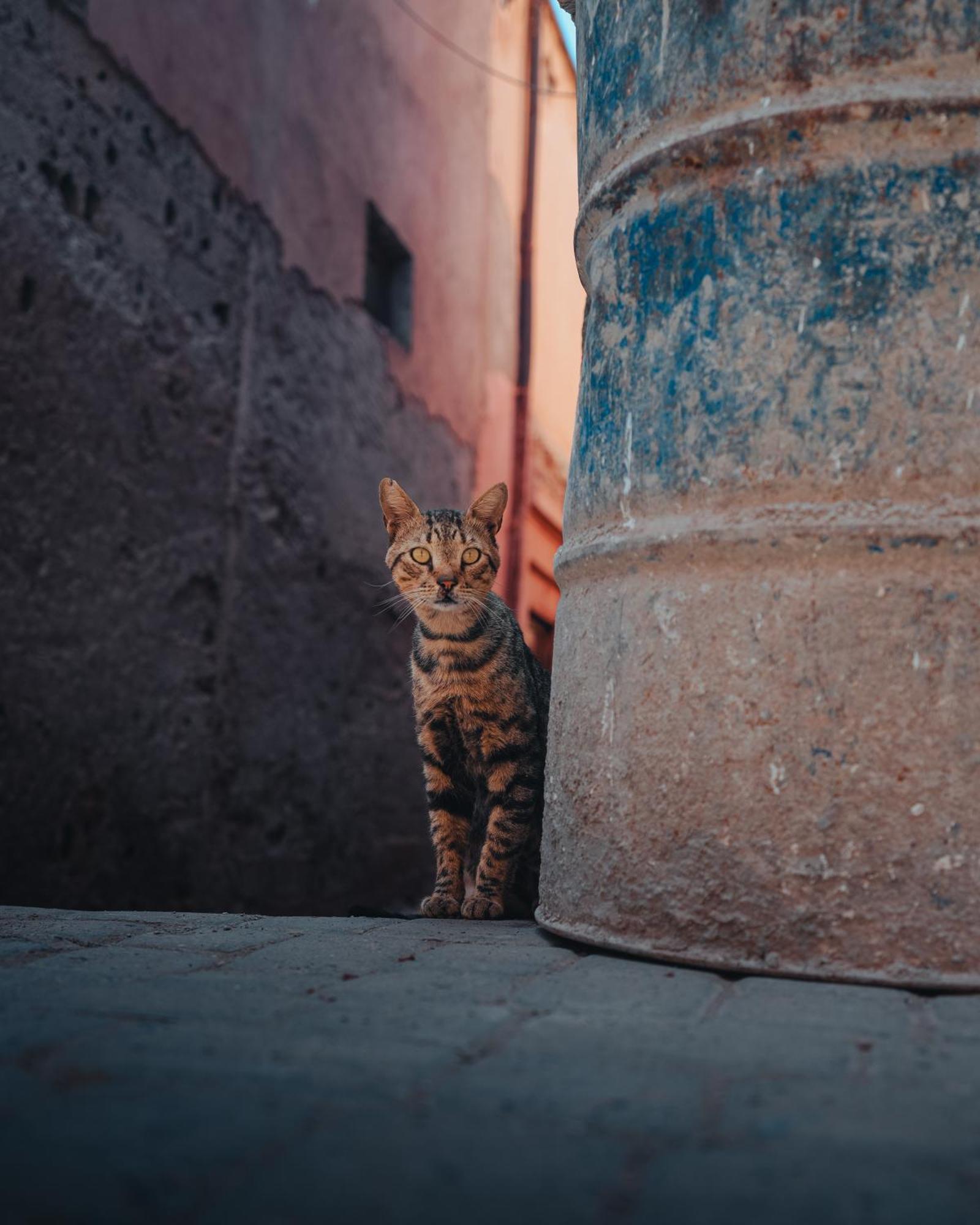 Riad De L'ange * Marrakesh