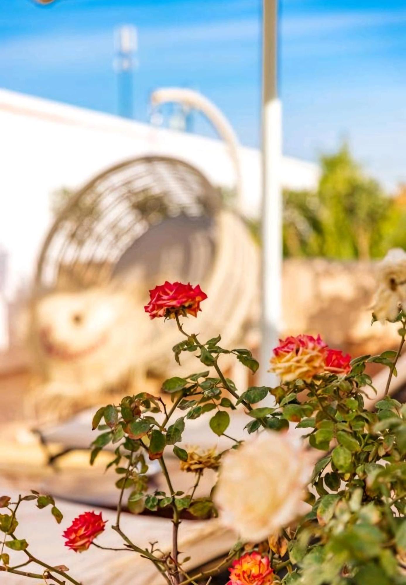 La Perle De L'atlas By Golf Appartement Marrakesh