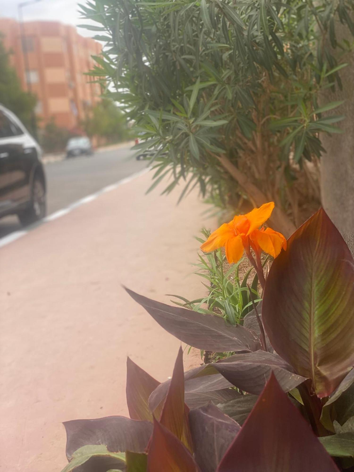 Basatine Targa Appartamento *