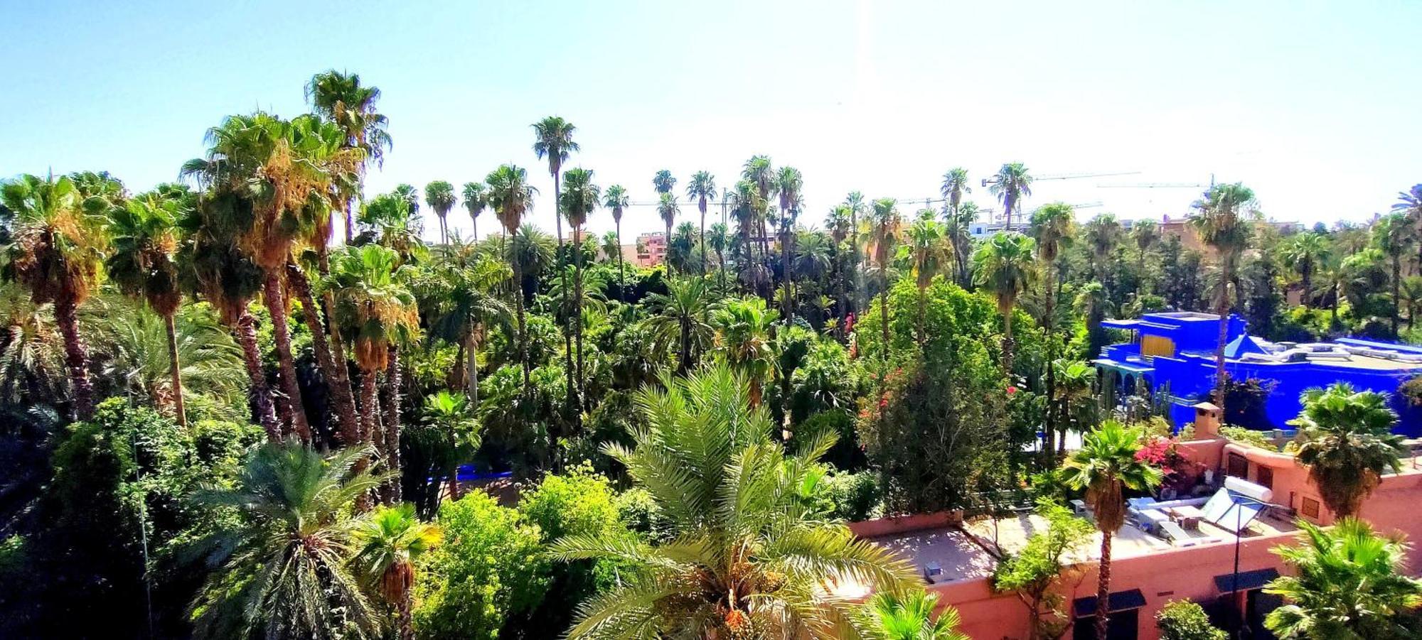 Superbe Avec Vue Sur Les Jardins Majorelle, Face Au Musee Ysl, Rue Yves Saint Laurent Apartment Marrakesh