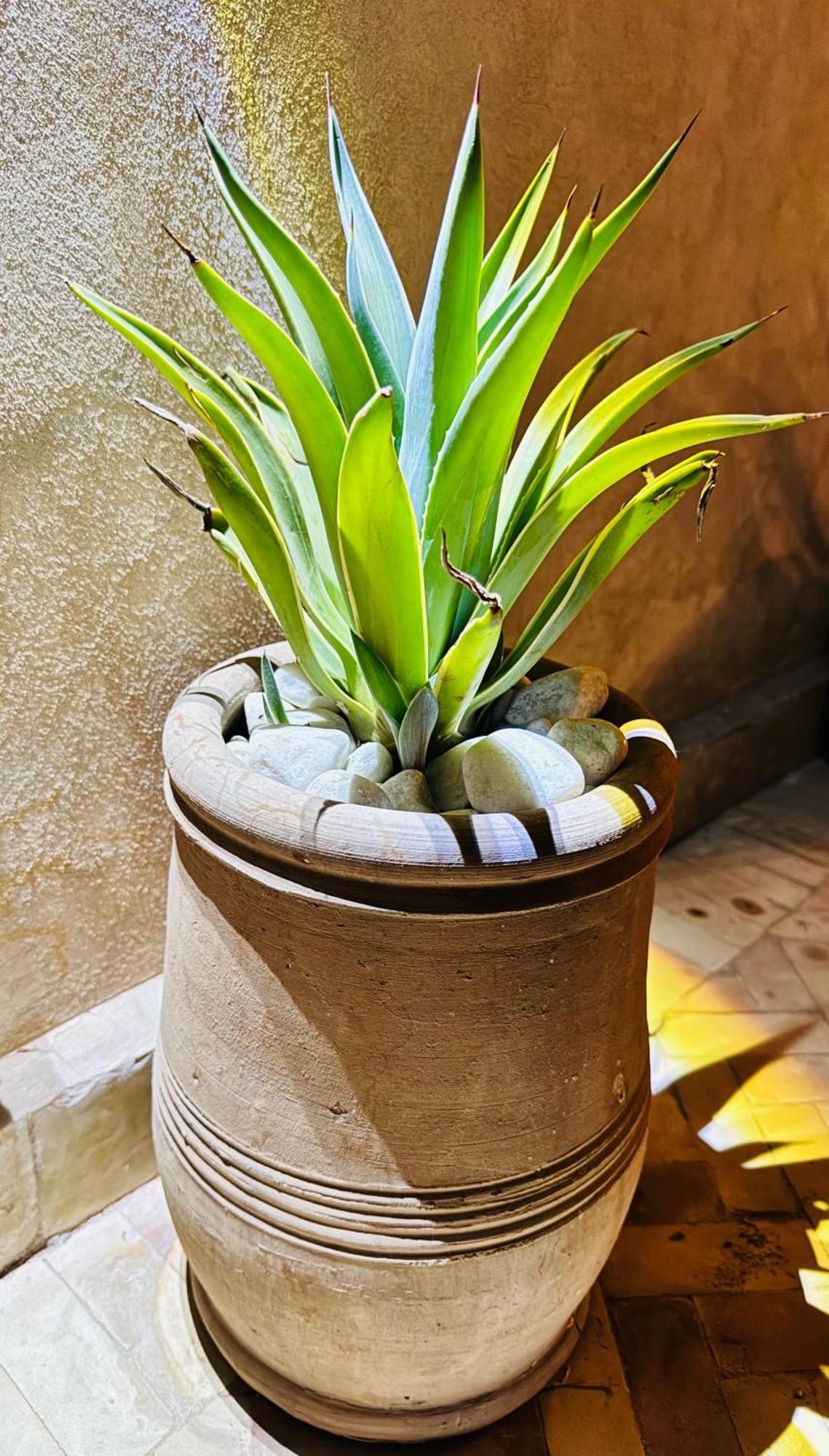 Villa Riad Inara *