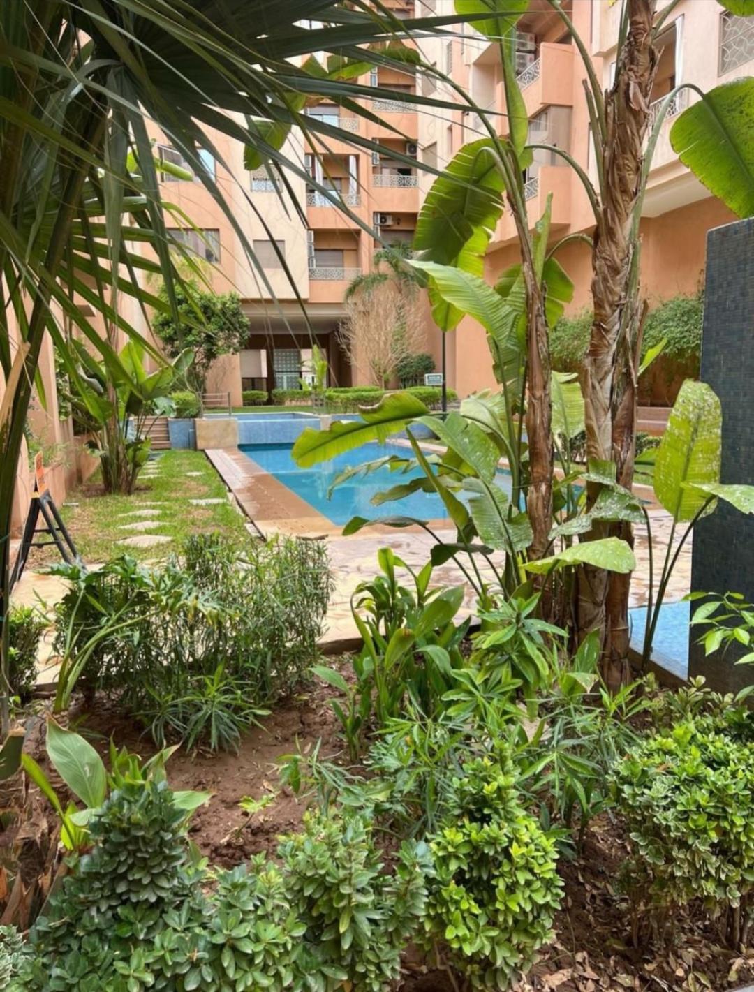 Appartement Oasis
