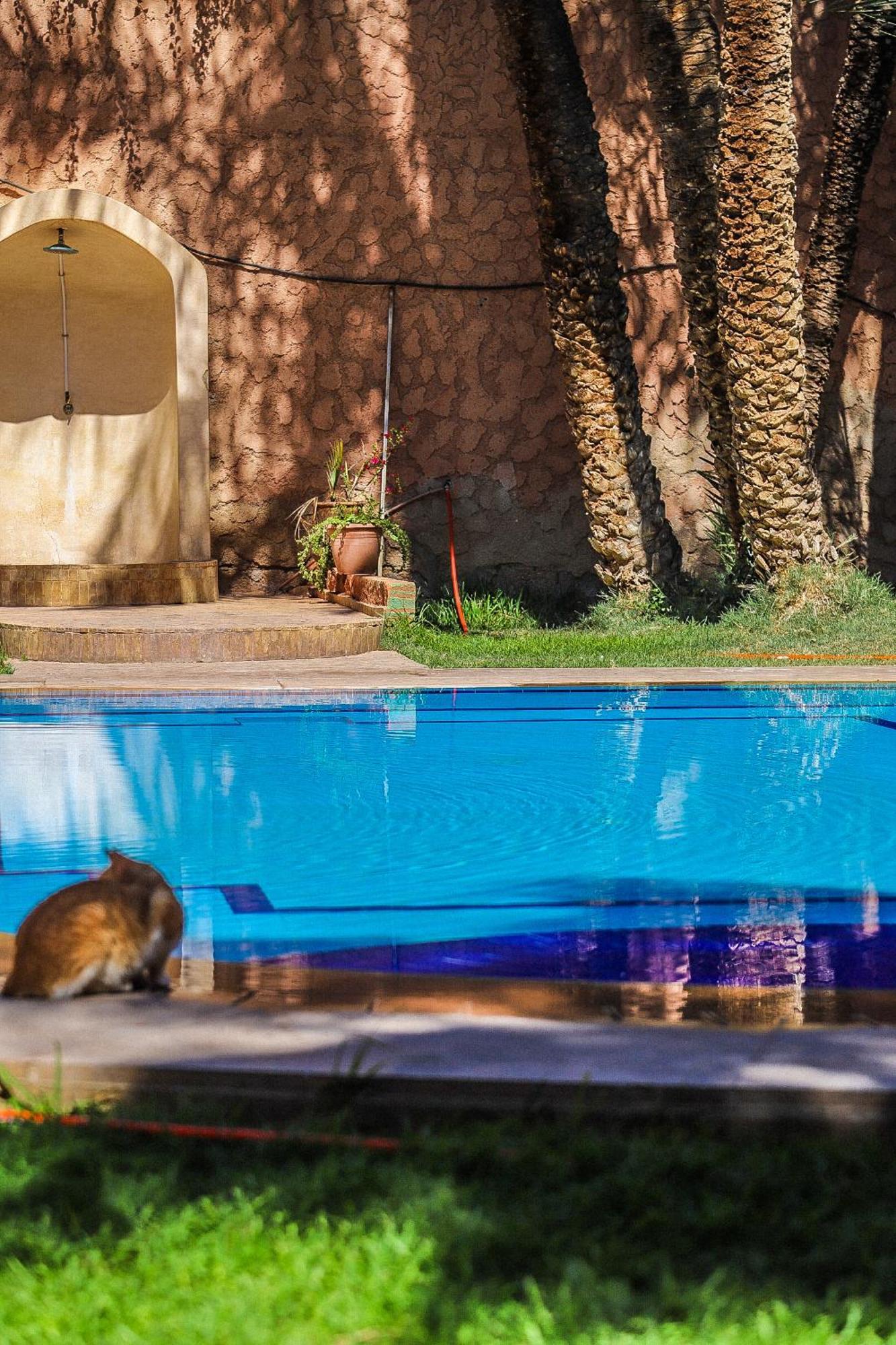 16 Marrakesh