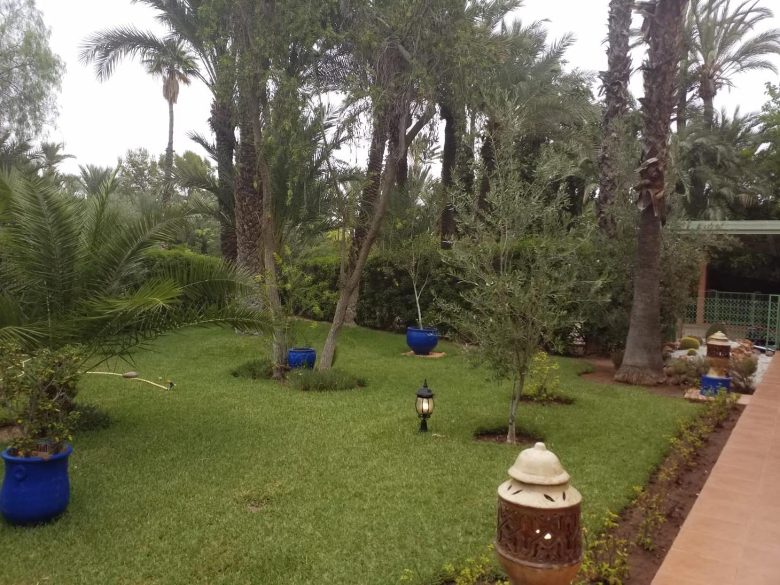 Palmeraie Apartment&villa 5* Marrakesh