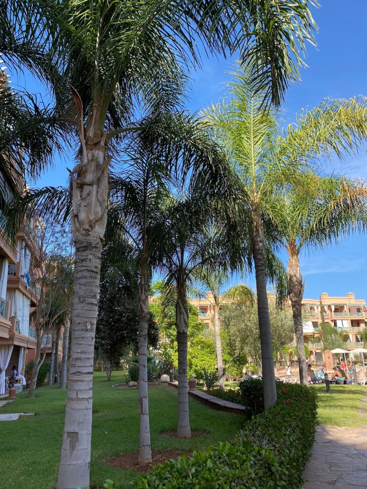 Apartamento Peaceful Heaven *