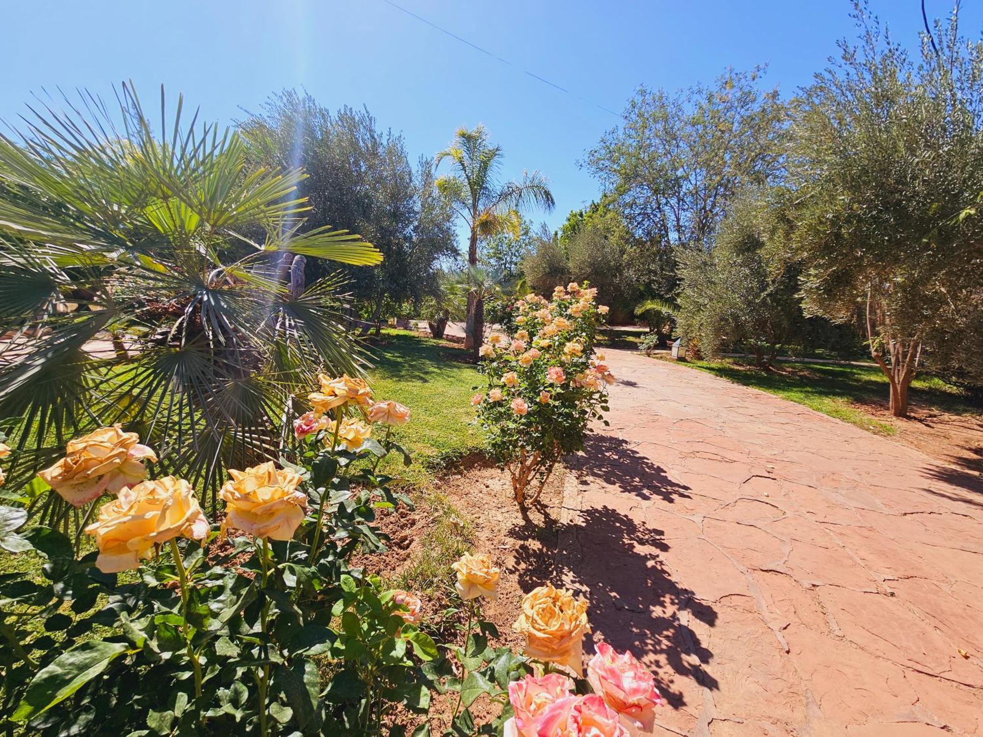 Blanche Marrakech