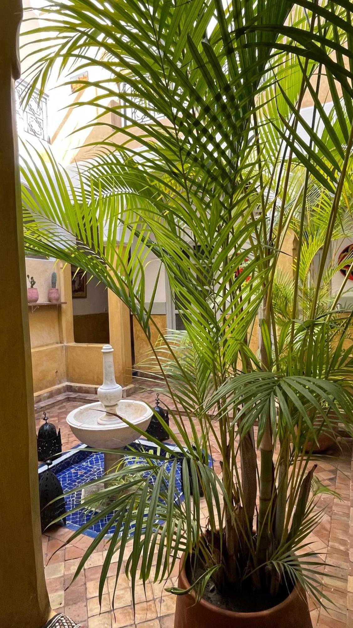 Laila Riad Marrakesch