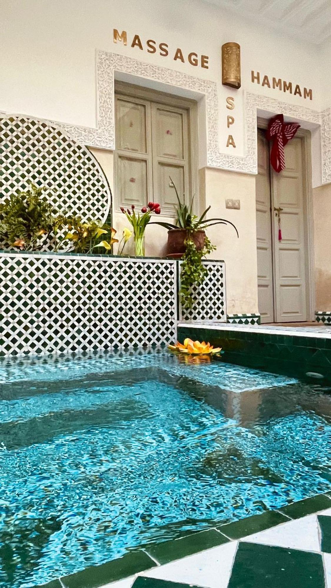 Magnolia * Marrakesh
