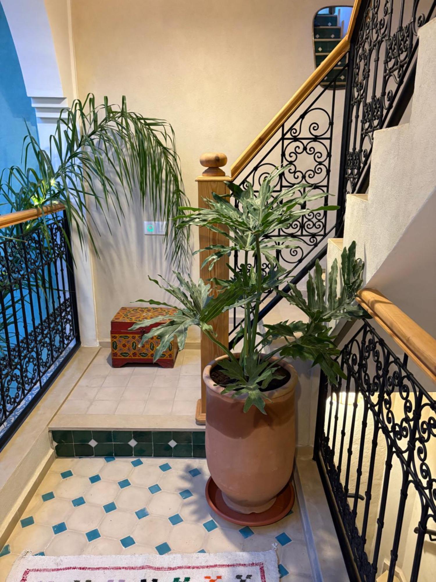 Riad212 Private Medina Fast Wi-fi Plunge Pool Hébergement de vacances
