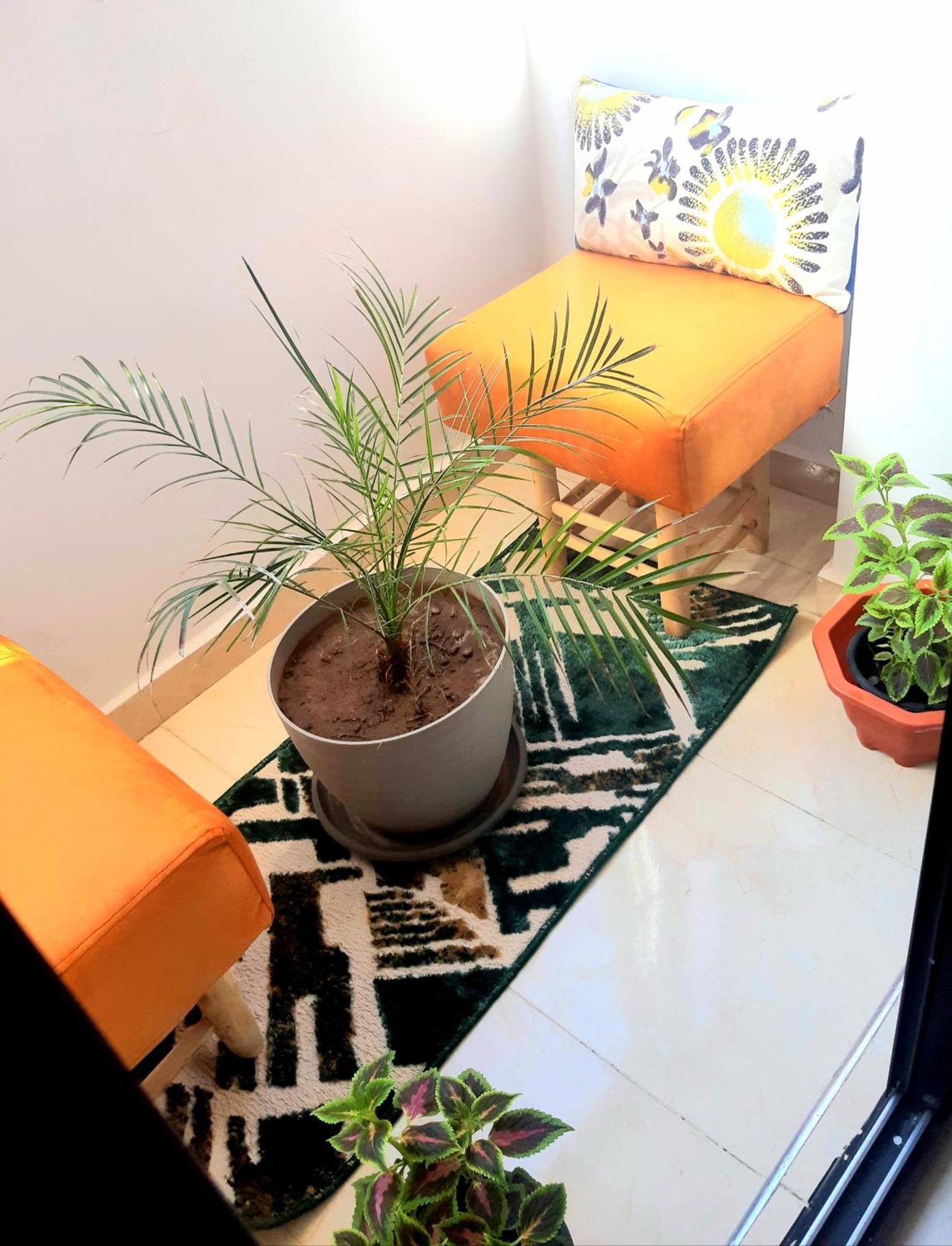 Cozy Appartement Marrakesh