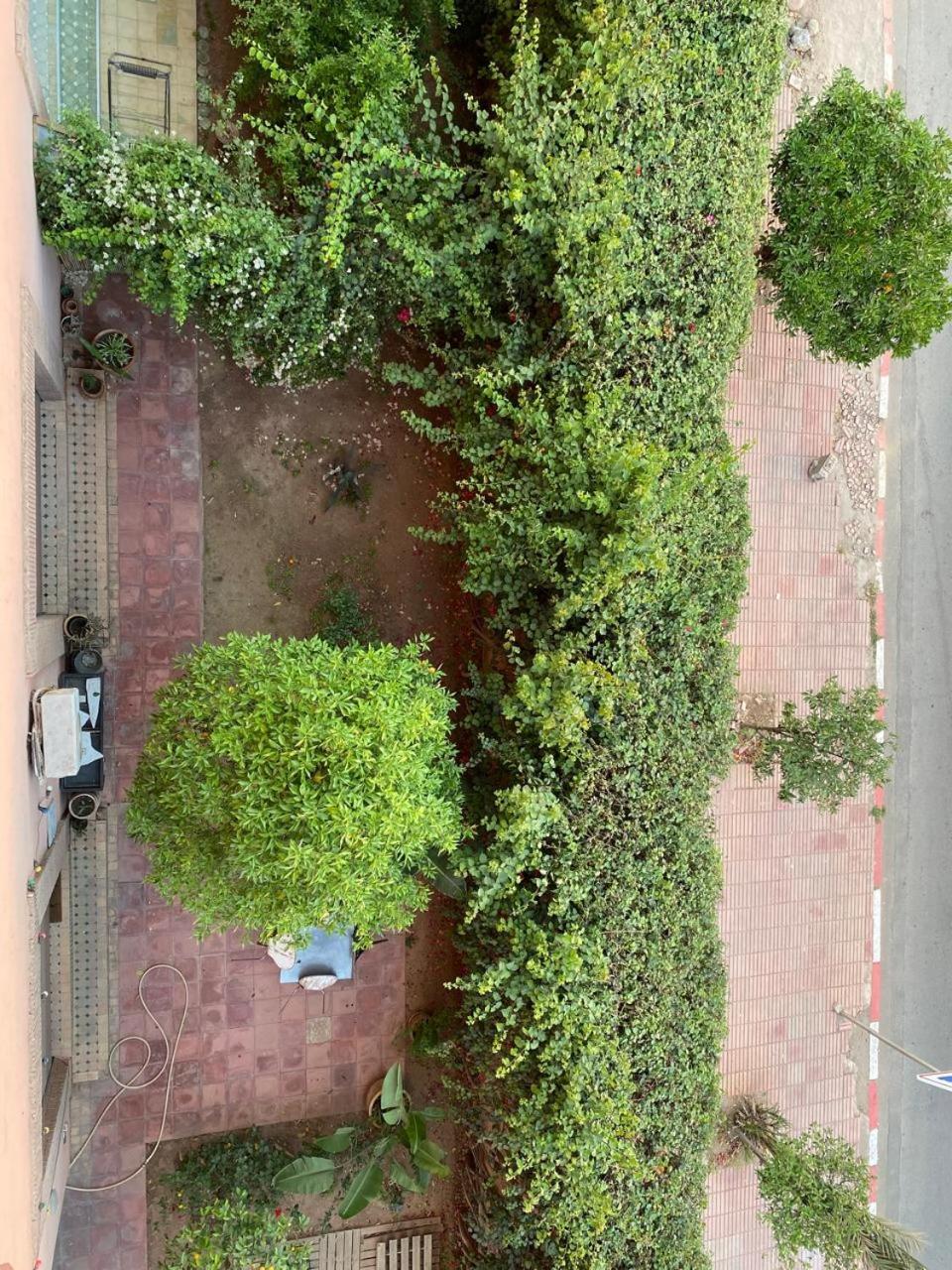 Apprt Luxueux L'hivernage Au Centre Proche De La Gare ,m Avenu Cr07 Appartement Marrakesh