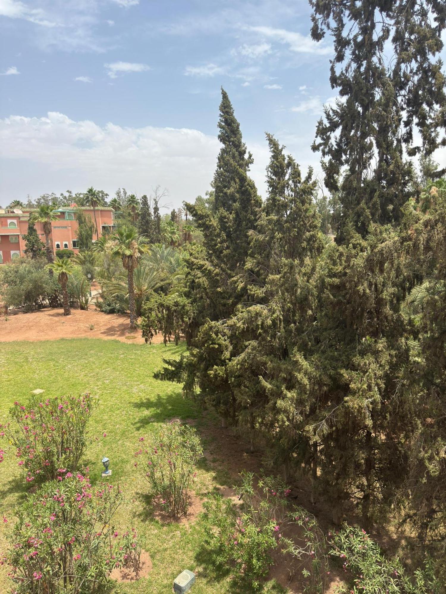 Apartment Oasis Palm Marrakech