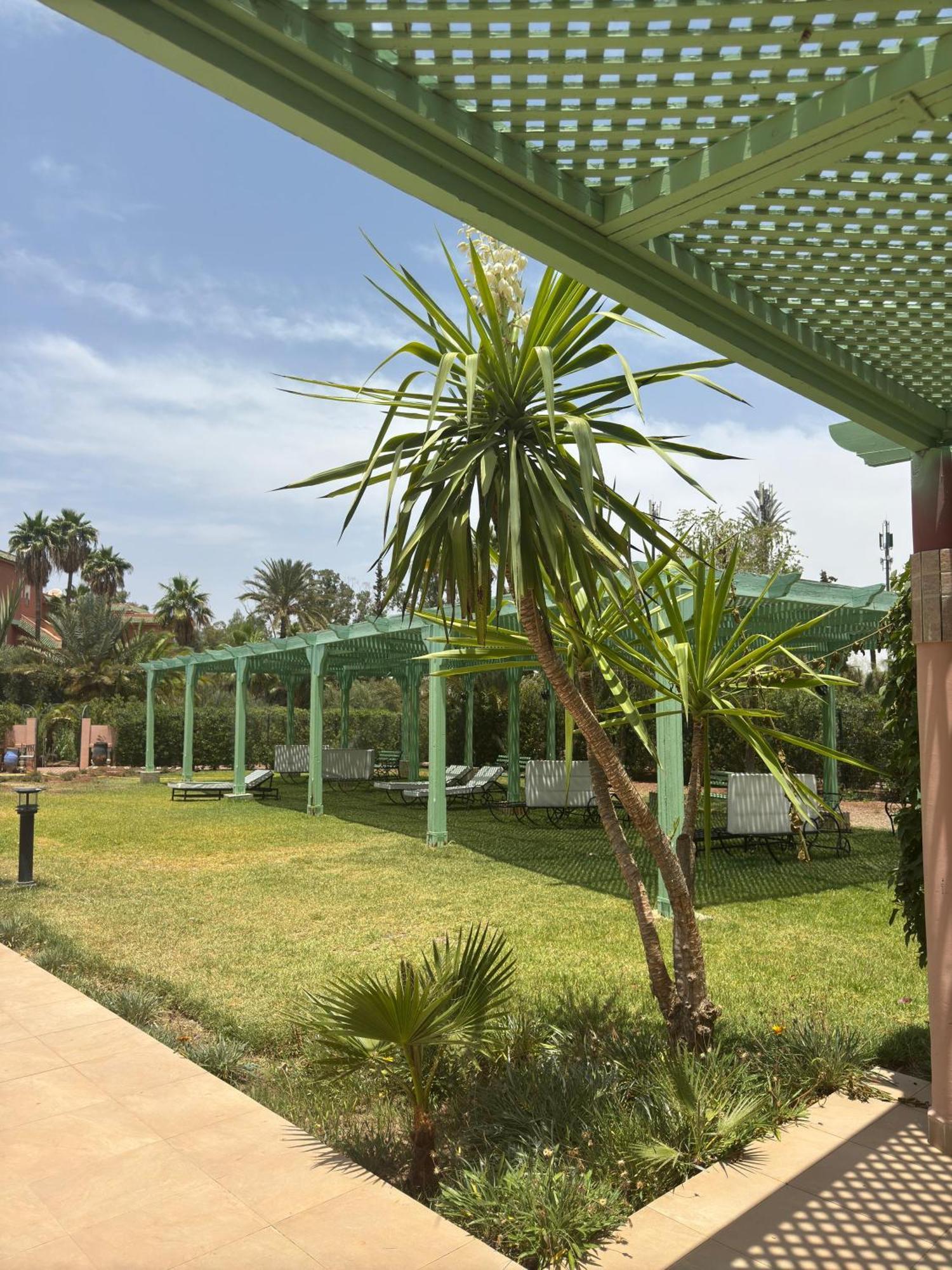 Oasis Palm Marrakech Apartment Marrakesch