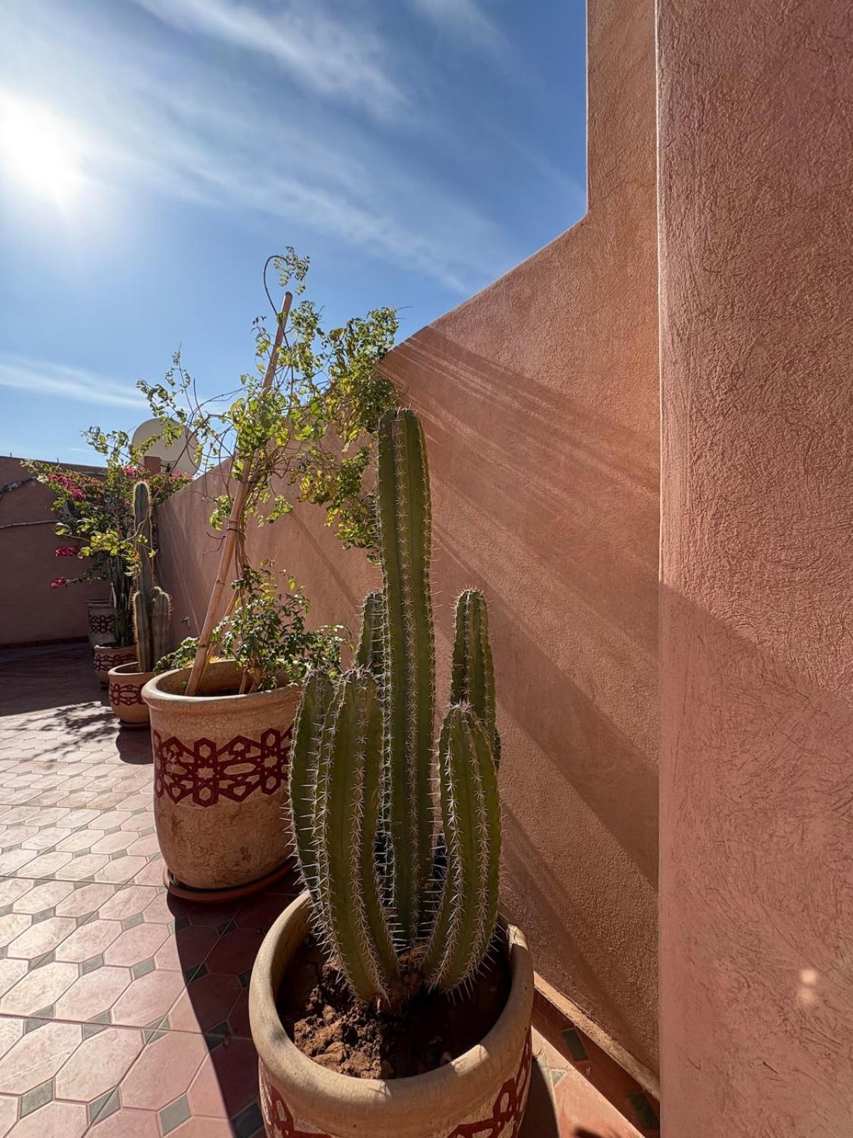 Amanar Marrakesh