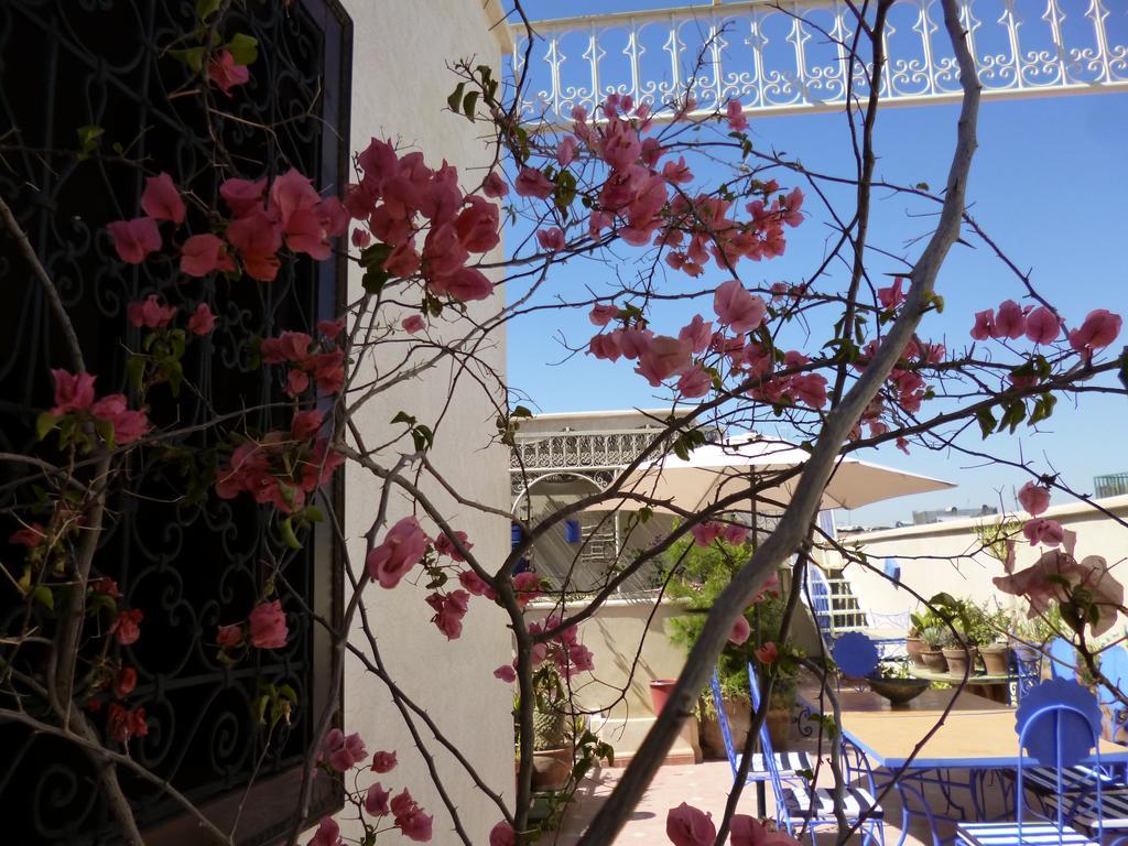 Pensión Dar En-nawat 3*
