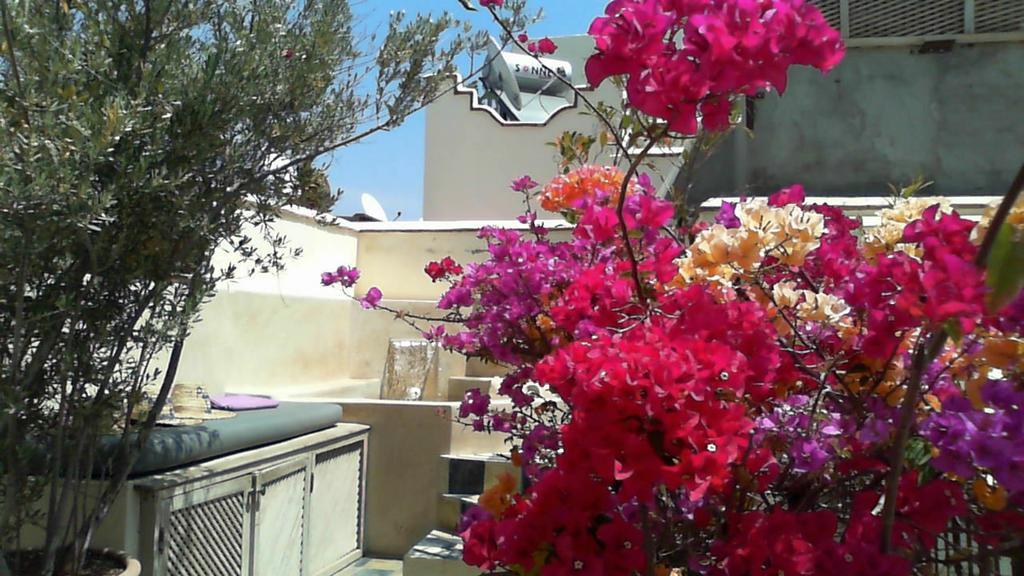 Princesse Jamila Riad 3*