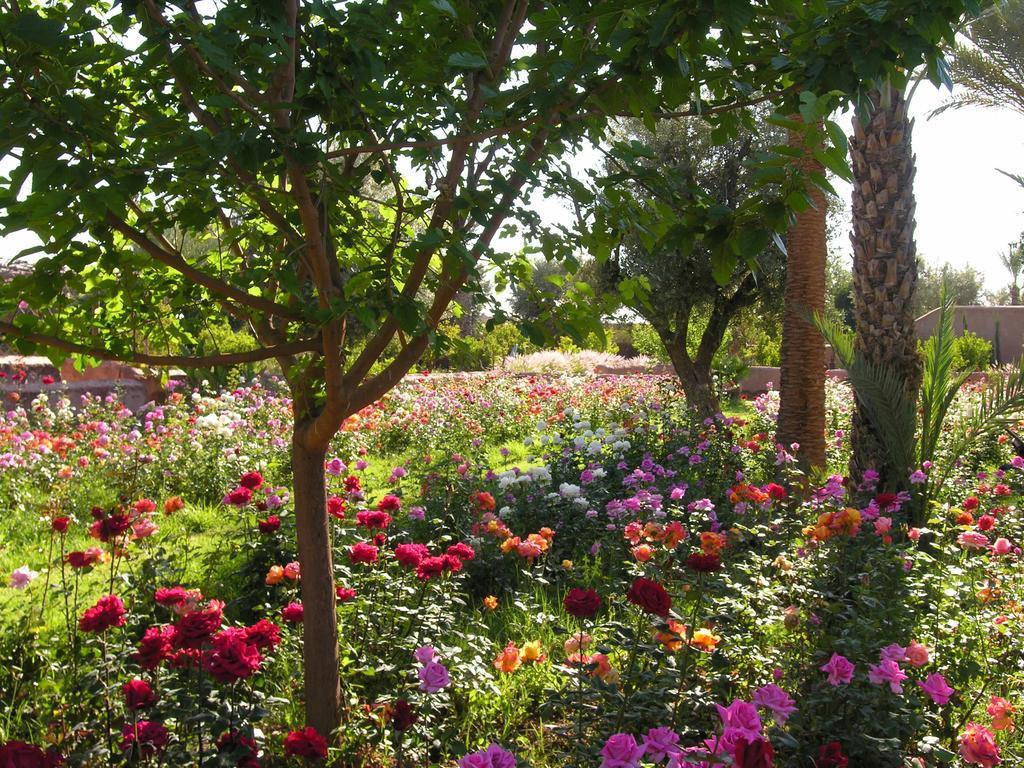 Jardin Nomade Marrakesh