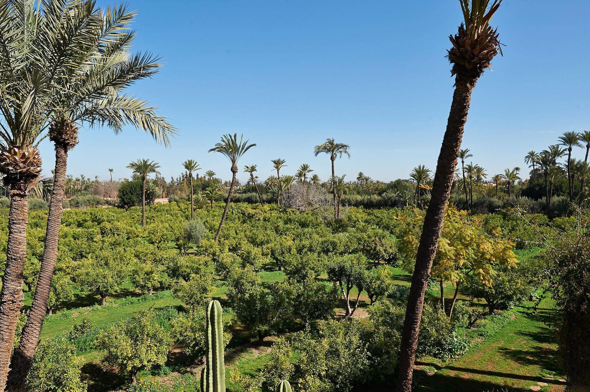 Dar Jl * Marrakesh