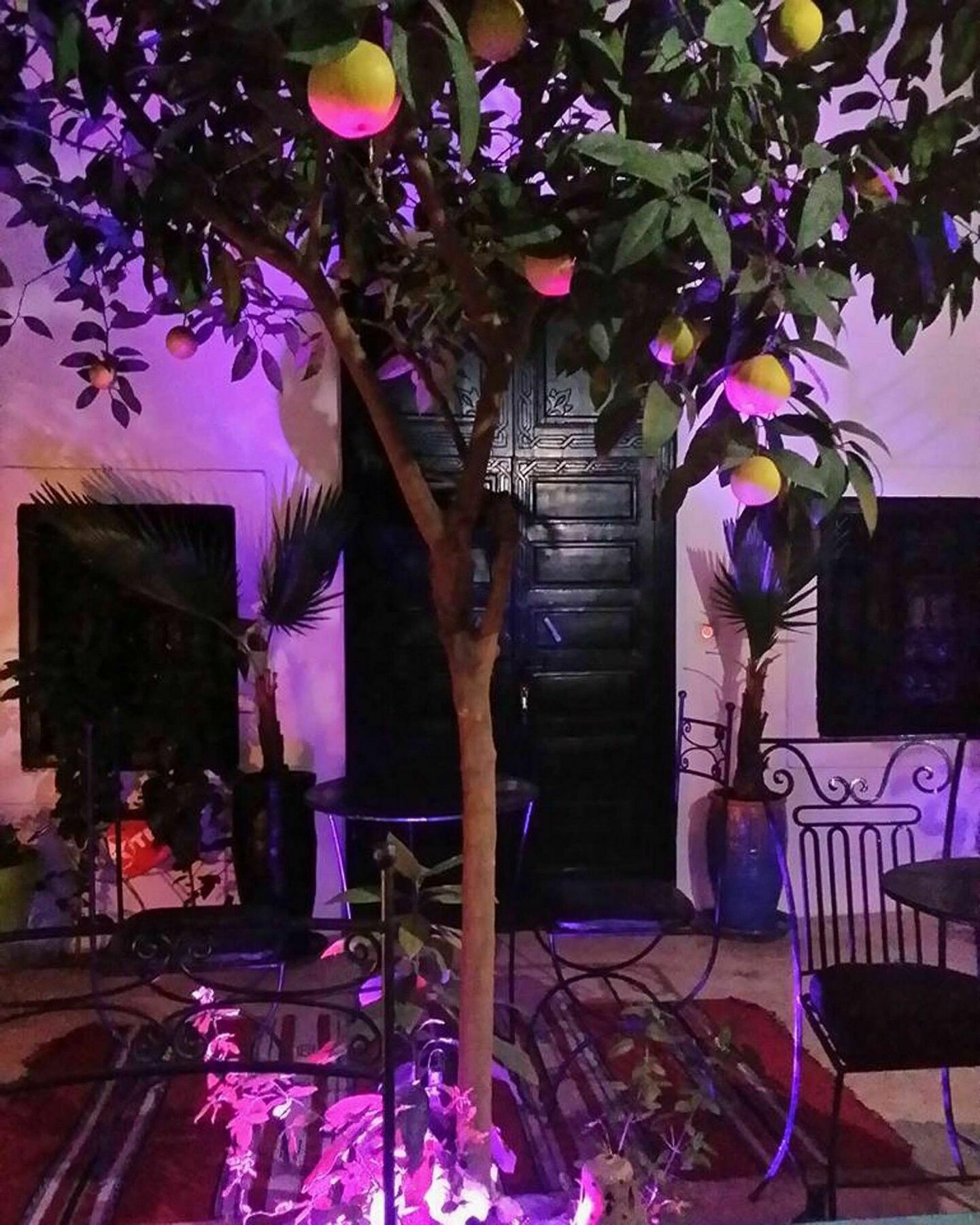 Gaya 3* Marrakesch