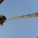Hotel Cecil