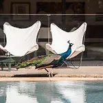Villa Mayaz - Piscine Chauffee