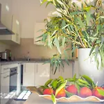 Residance Daki Appartement 14
