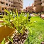Appartement Piscine Palmeraie Gates Marrakech