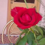 Ykar