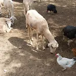 La Ferme El Dar