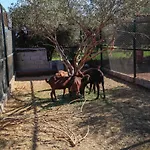 The Farm