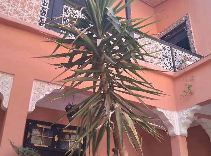 Riad Dyafa