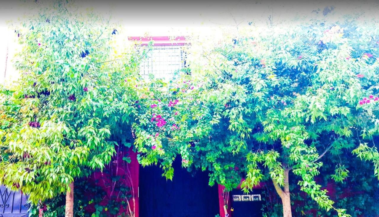 Bright Marrakech 130m² + Terrace Marrakesh