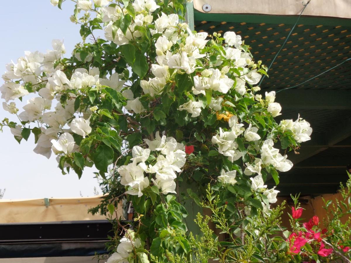 Sesame Guest house Marrakesh