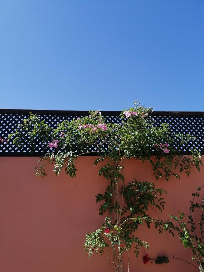 Alena Riad Marrakesh