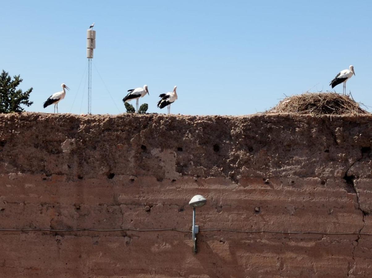 Stork Marrakech Luxury * Marrakesh